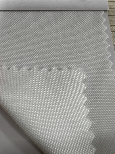 DG-HXC RPET全滌帆布 後面照